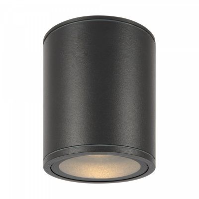 Уличный потолочный светильник Outdoor O306CL-L12GF