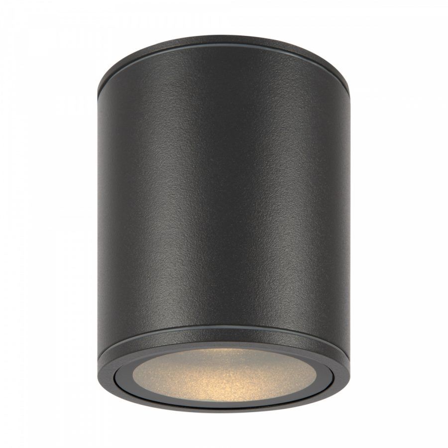 Уличный потолочный светильник Outdoor O306CL-L12GF