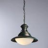 Подвесной светильник Arte Lamp FERRICO A9256SP-1BG