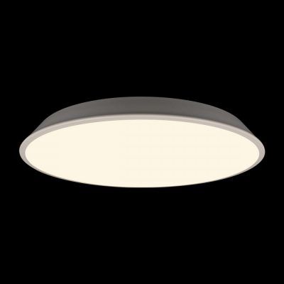 10226 White Потолочный светильник LOFT IT Brim