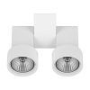 Светильник точечный накладной декоративный Illumo X2 Lightstar 051036