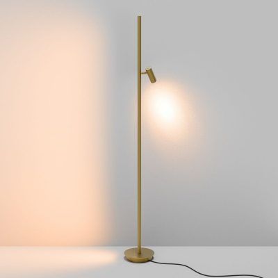 Напольный светильник (торшер) Maytoni MOD395FL-L28BS3K
