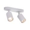 Спот Arte Lamp AQUARIUS A3226PL-2WH
