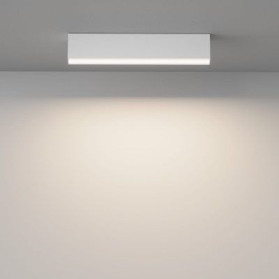 Потолочный светильник Technical C068CL-20W3-6K-W