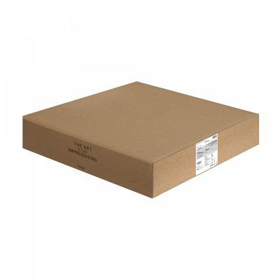 Потолочный светильник Freya FR6160CL-L40W
