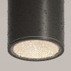Уличный потолочный светильник Outdoor O306CL-L12GF