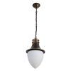 Уличный подвесной светильник Arte Lamp VIENNA A1317SO-1BN