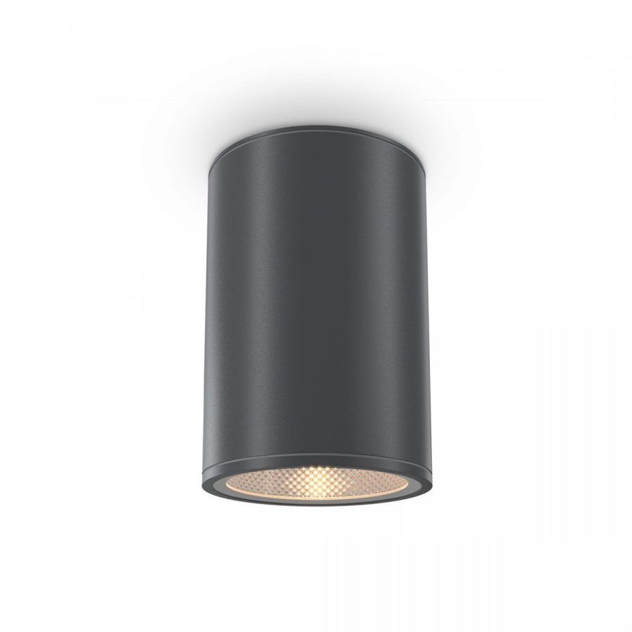 Уличный потолочный светильник Outdoor O306CL-L12GF