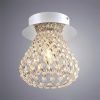 Потолочный светильник Arte Lamp ADAMELLO A9466PL-1CC