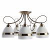 Потолочная люстра Arte Lamp NOEMI A6192PL-5AB
