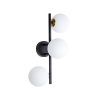 Настенно-потолочный светильник Arte Lamp GEMINI A2243PL-3BK