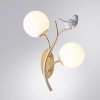 Бра Arte Lamp CAMOMILLA A9712AP-2SG