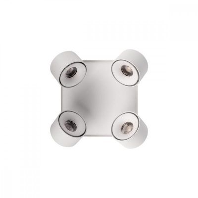 10326 White Накладной светильник LOFT IT Case