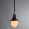 Уличный подвесной светильник Arte Lamp VIENNA A1317SO-1BN