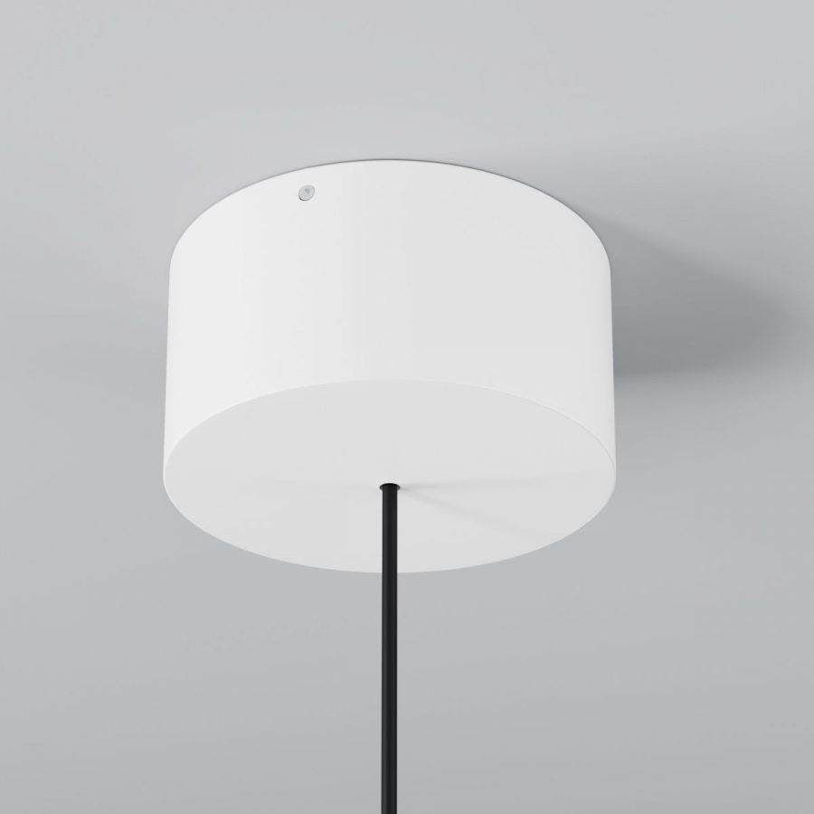 Уличный подвесной светильник Outdoor O491PL-L6W3K