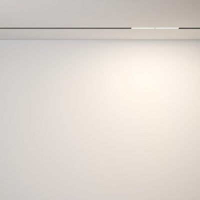 Трековый светильник Technical TR106-2-12W3K-B