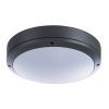 Уличный потолочный светильник Arte Lamp CITY A8154PF-2GY