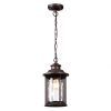 Уличный светильник-подвес Odeon Light Mavret 4961/1