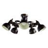 Потолочная люстра Arte Lamp MARTIN A5216PL-5BR
