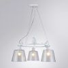 Подвесная люстра Arte Lamp PASSERO A4289LM-3WH