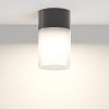 Уличный потолочный светильник Outdoor O418CL-01B