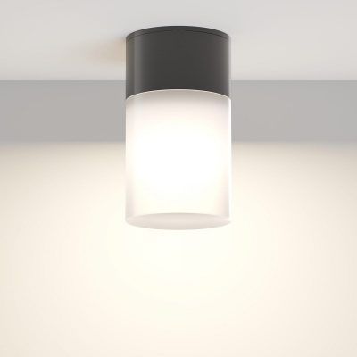 Уличный потолочный светильник Outdoor O418CL-01B