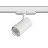 Светильник Alta Base Lightstar A5136QT
