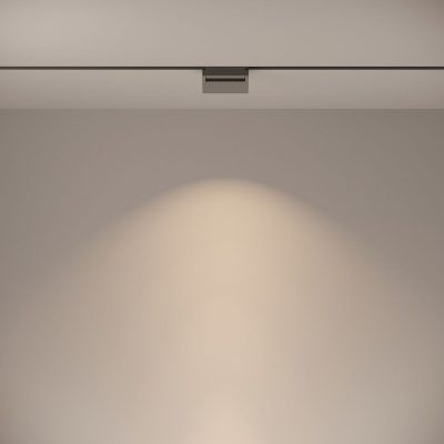 Трековый светильник Technical TR013-2-10W4K-B