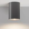 Уличный потолочный светильник Outdoor O306CL-L12GF
