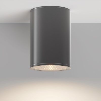 Уличный потолочный светильник Outdoor O306CL-L12GF