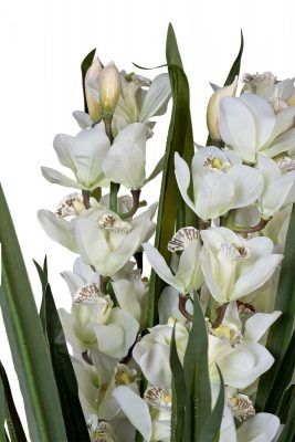 29BJ-911-45 Орхидея Цимбидиум (Cymbidium) искусств. белая в горшке h110 см