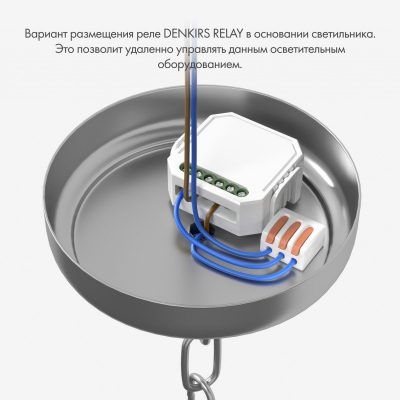Wi-Fi реле Denkirs Relay RL1001-SM/1