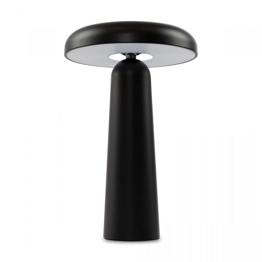 Аккумуляторный светильник Freya FR6109TL-L4B