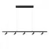 10260/5 Black Подвесной светильник LOFT IT Sign