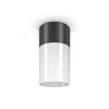 Уличный потолочный светильник Outdoor O418CL-01B