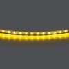 Лента цветного свечения 24V Lightstar Lightstar 420513
