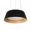 10224P Black Подвесной светильник LOFT IT Evans