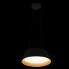 10224P Black Подвесной светильник LOFT IT Evans