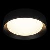 10202 BB  Потолочный светильник  LOFT IT Coin