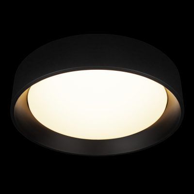 10202 BB  Потолочный светильник  LOFT IT Coin