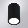 Уличный потолочный светильник Arte Lamp TORCULAR A1307PF-1BK