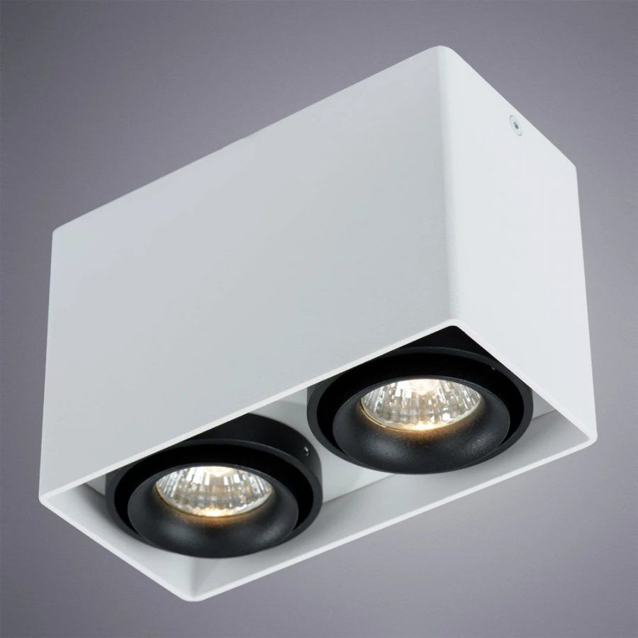 Точечный накладной светильник Arte Lamp PICTOR A5655PL-2WH