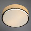 Потолочный светильник Arte Lamp AQUA A4440PL-2CC