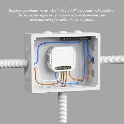 Wi-Fi реле Denkirs Relay RL1004-DM/1