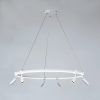 Подвесная люстра Arte Lamp RING A2186SP-1WH