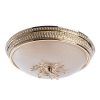 Потолочный светильник Arte Lamp VASSOIO A9205PL-3GO