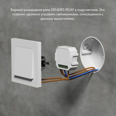 Wi-Fi реле Denkirs Relay RL1001-SM/1