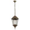 Уличный подвесной светильник Arte Lamp GENOVA A1204SO-1BN