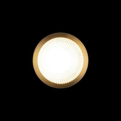 10187/B Потолочный светильник LOFT IT Solar