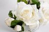 96CN-LV01 Диффузор Овал белый (Oval White), спрей Розовый Пион (Pink Peonies) 2x10мл  в уп.
